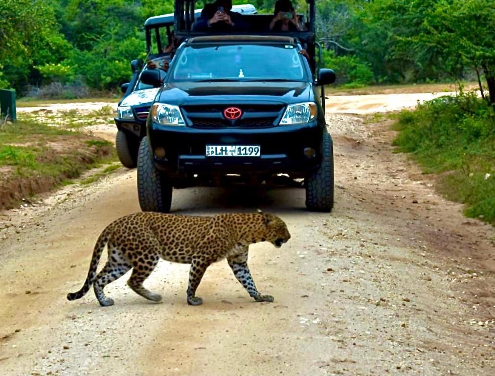 Yala Safari Village Maha Akurugoda Exterior foto